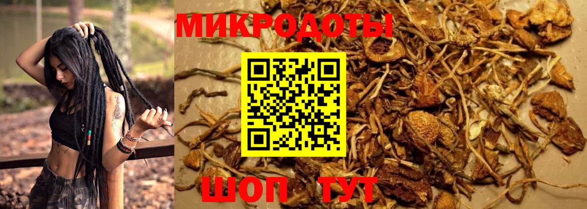 Псилоцибиновые грибы Cubensis Хабаровск