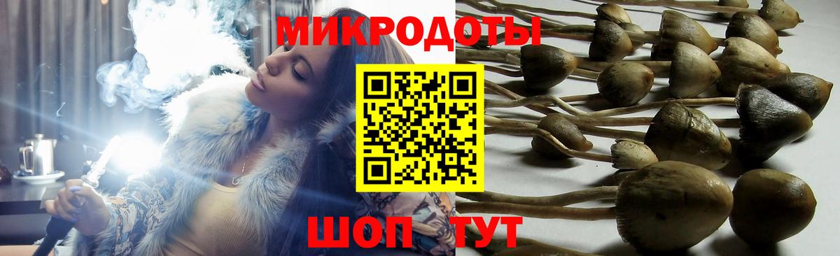 Псилоцибиновые грибы Magic Shrooms  Вход с VPN  Хабаровск  Псилоцибиновые грибы GOLDEN TEACHER 